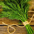 fresh dill