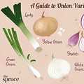 onion