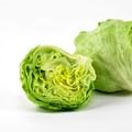 lettuce