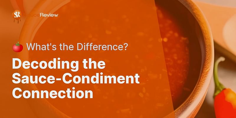 Decoding the Sauce-Condiment Connection - 🍅 What's the Difference?