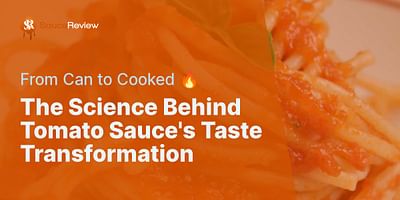 The Science Behind Tomato Sauce's Taste Transformation - From Can to Cooked 🔥